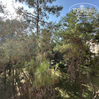 фото из отзыва ID 2737440