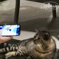 фото из отзыва ID 2737445