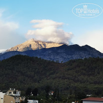 фото из отзыва ID 2737445