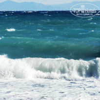 фото из отзыва ID 2737445