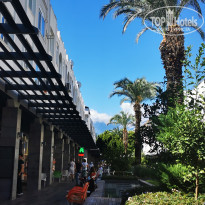 фото из отзыва ID 2737445