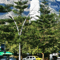 фото из отзыва ID 2737445