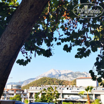 фото из отзыва ID 2737445