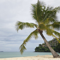 фото из отзыва ID 2736945