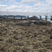 фото из отзыва ID 2736945