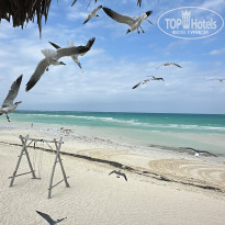 фото из отзыва ID 2737458