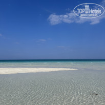 фото из отзыва ID 2737458