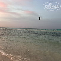 фото из отзыва ID 2737458