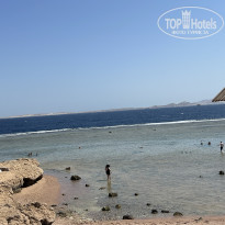 фото из отзыва ID 2737476