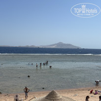 фото из отзыва ID 2737476