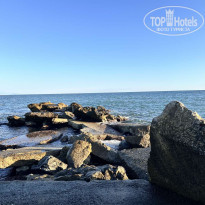 фото из отзыва ID 2737479