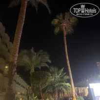 фото из отзыва ID 2737480