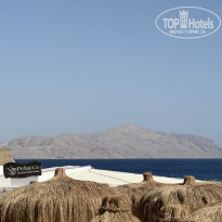 фото из отзыва ID 2737483