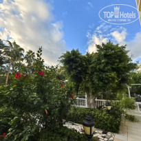 фото из отзыва ID 2737486