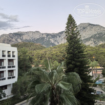 фото из отзыва ID 2737486