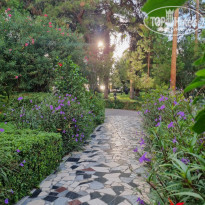 фото из отзыва ID 2737486