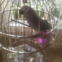 фото из отзыва ID 2737485