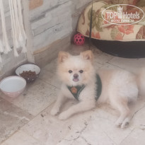 фото из отзыва ID 2737485