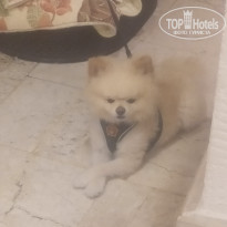 фото из отзыва ID 2737485