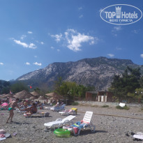 фото из отзыва ID 2737485