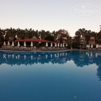 фото из отзыва ID 2737490