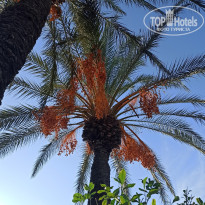 фото из отзыва ID 2737490