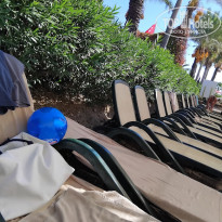 фото из отзыва ID 2737501