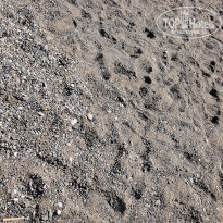 фото из отзыва ID 2737501