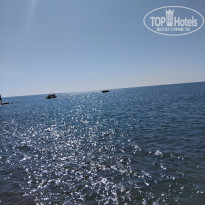 фото из отзыва ID 2737501