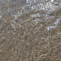 фото из отзыва ID 2737501