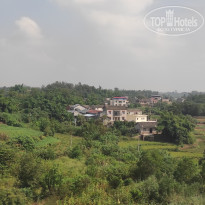 фото из отзыва ID 2737500