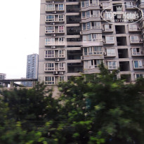 фото из отзыва ID 2737500