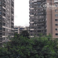 фото из отзыва ID 2737500