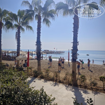 фото из отзыва ID 2737506