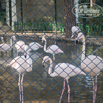 фото из отзыва ID 2737506