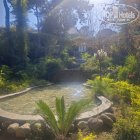 фото из отзыва ID 2737506