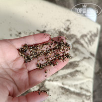 фото из отзыва ID 2737505