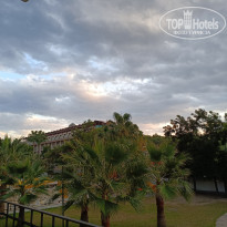 фото из отзыва ID 2737505