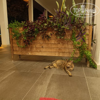 фото из отзыва ID 2737505