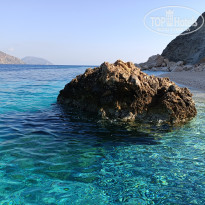 фото из отзыва ID 2737505