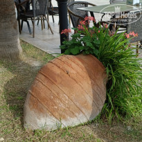 фото из отзыва ID 2737505