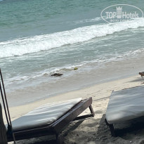 фото из отзыва ID 2737522