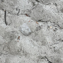 фото из отзыва ID 2737522