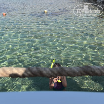 фото из отзыва ID 2737523