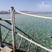 фото из отзыва ID 2737523