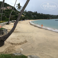 фото из отзыва ID 2737525