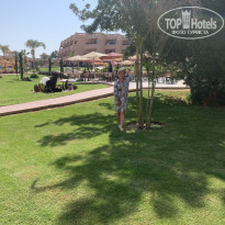 фото из отзыва ID 2737565