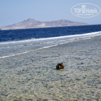 фото из отзыва ID 2737571