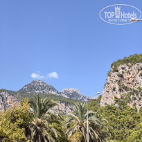 фото из отзыва ID 2737259