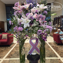 фото из отзыва ID 2737413